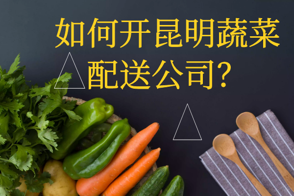 如何開昆明蔬菜配送公司？