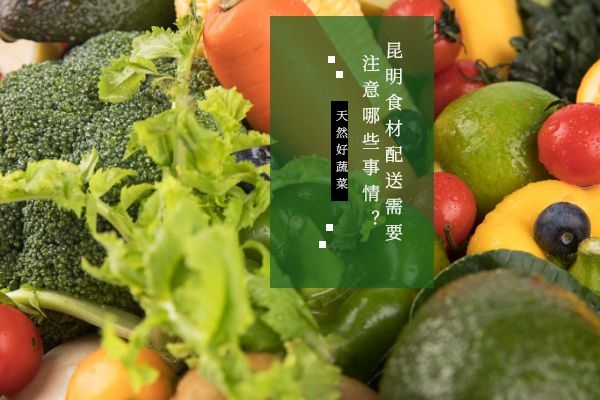 昆明有機(jī)蔬菜配送公司怎么選擇？